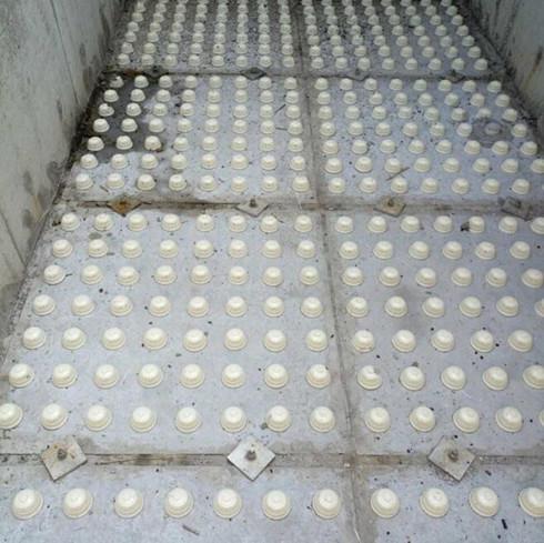 Vʩ֪,V_(ki),V^bg,V^V尲b